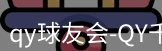 qy球友会